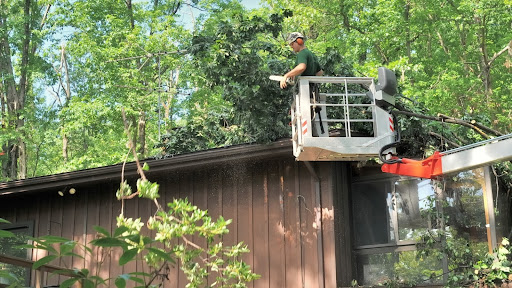 Professional arborist in a lift inspecting roof damage from trees for InfanTree USA in a wooded area.