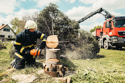 Professional arborist cutting a tree stump with a chainsaw, with a crane truck in the background.