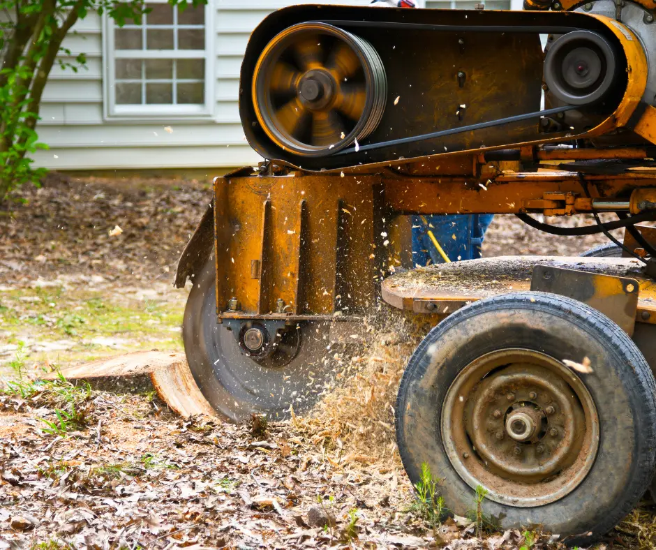 stump-grinding